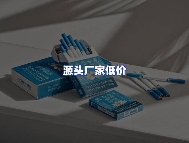 专业团队